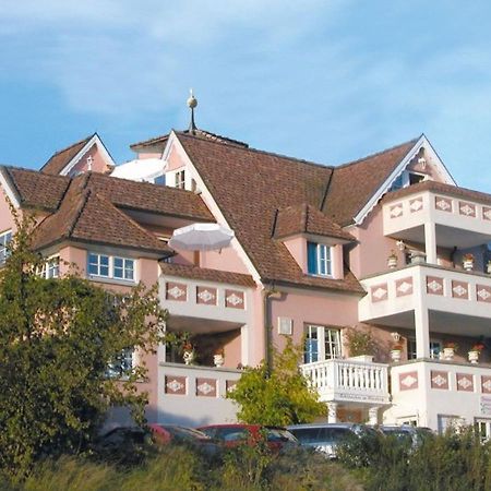 Schloesschen Im Weinberg Apartment Meersburg Ngoại thất bức ảnh